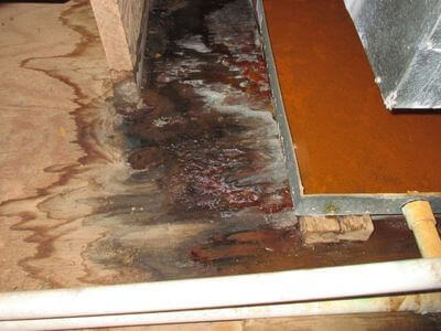About water damage restoration service - burst pipe water damage experts in Boca Raton